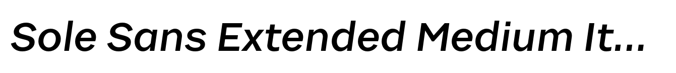Sole Sans Extended Medium Italic
